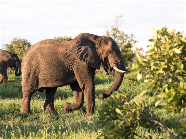Southern Africa vacation