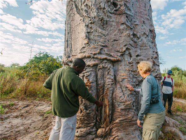 Southern Africa vacation