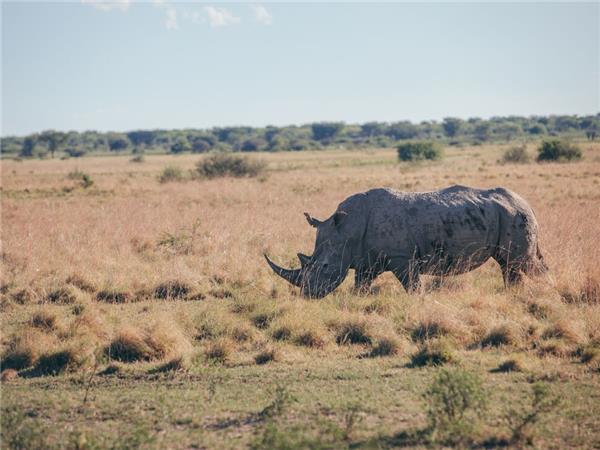 Southern Africa vacation