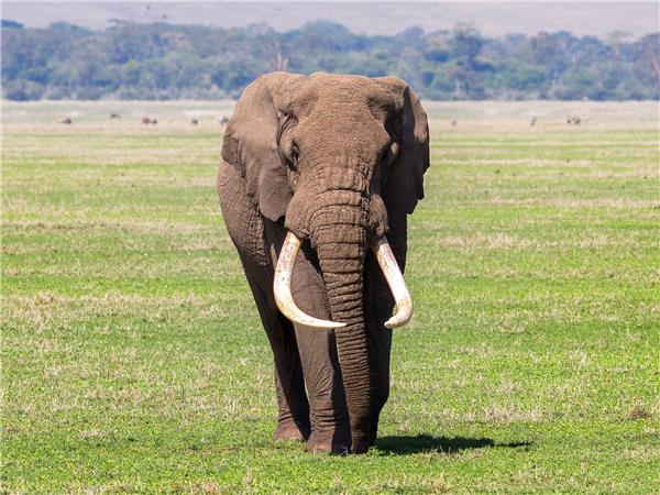 The Masai Heartlands safari