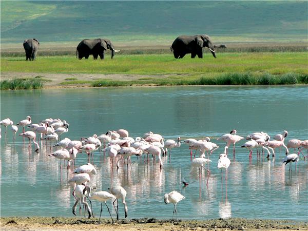 The Masai Heartlands safari