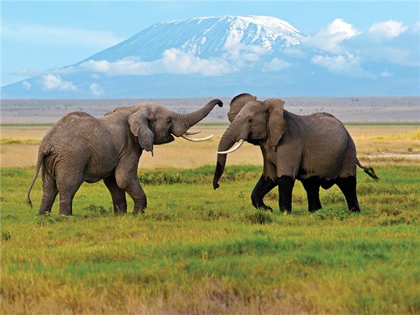 The Masai Heartlands safari
