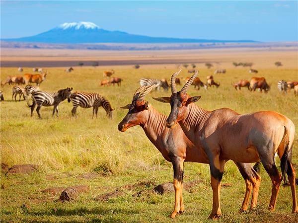 The Masai Heartlands safari