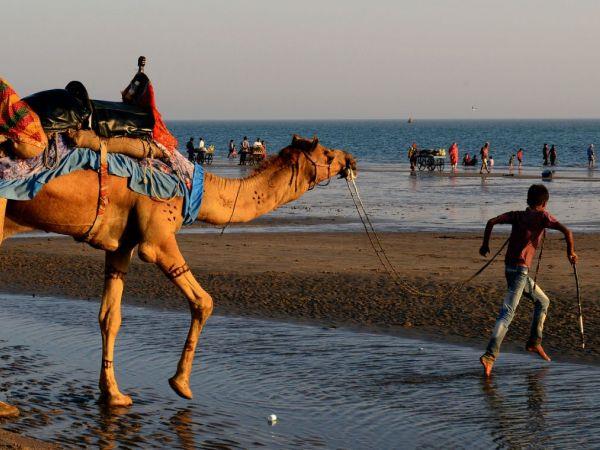Gujarat vacation and the Rann of Kutch, India