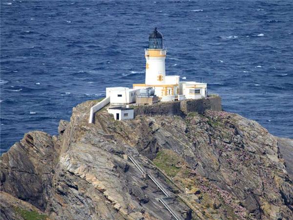 Shetland Isles wildlife vacation