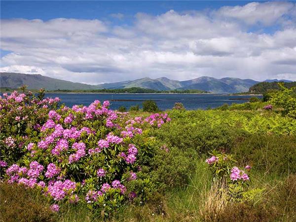 Highlands of Scotland walking vacation