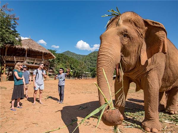 Thailand small group tour with added comfort