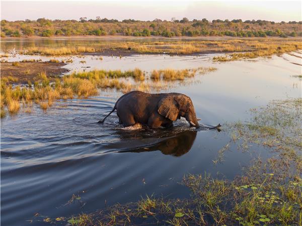 Botswana and Zimbabwe lodge safari