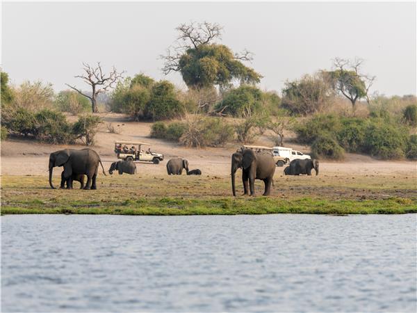 Botswana and Zimbabwe lodge safari