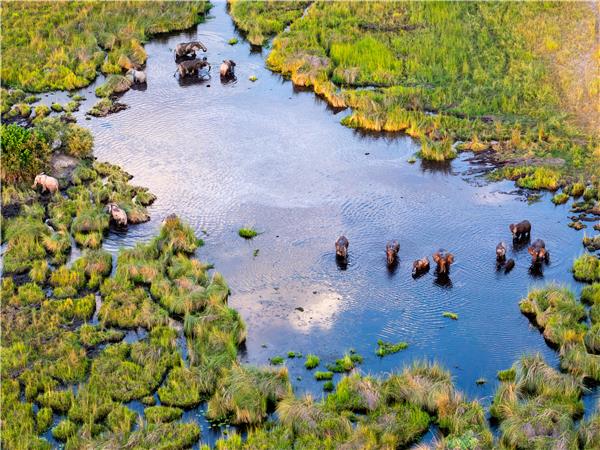 Botswana and Zimbabwe lodge safari