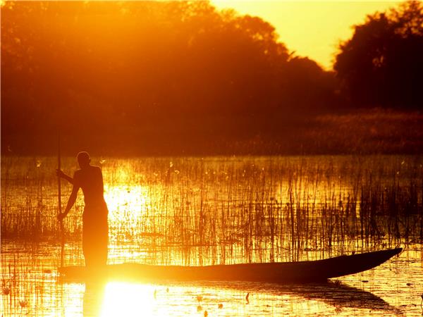 Botswana and Zimbabwe lodge safari