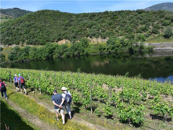 Northern Portugal small group tour