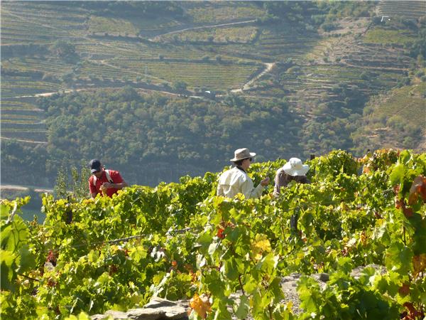 Northern Portugal small group tour