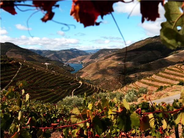 Northern Portugal small group tour