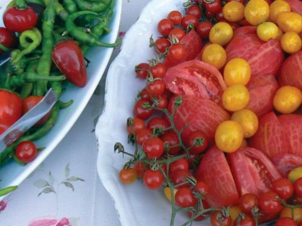 Gulet cruise and walking vacation in Turkey
