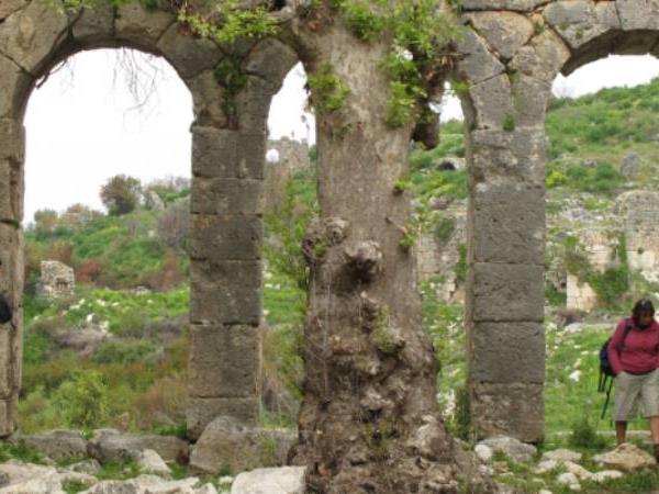 Gulet cruise and walking vacation in Turkey