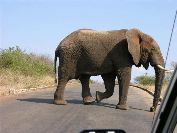 Johannesburg to Cape Town tour in South Africa