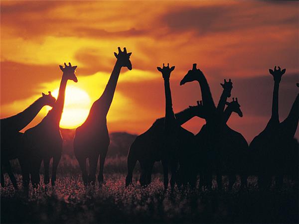 Johannesburg to Cape Town tour in South Africa