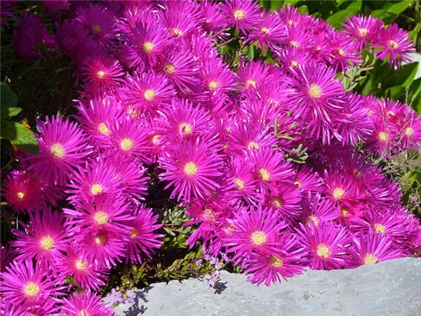 French Riviera walking vacation, France