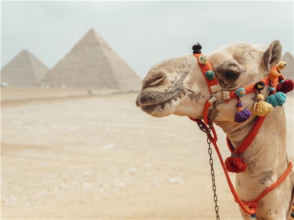 Highlights of Egypt vacation