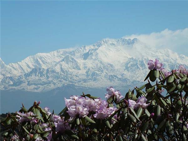 Singalila Ridge trekking holiday in India
