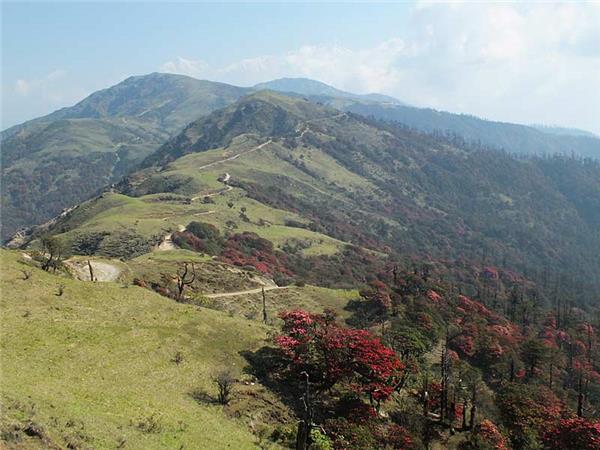 Singalila Ridge trekking holiday in India
