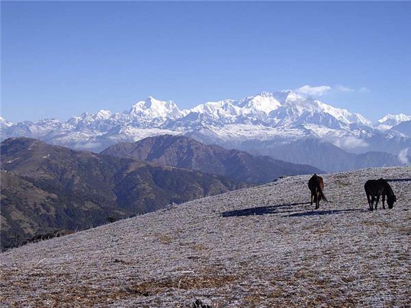 Singalila Ridge trekking holiday in India