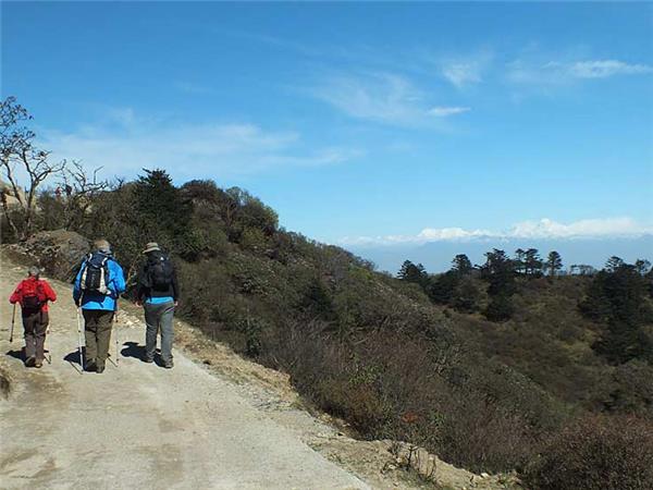Singalila Ridge trekking holiday in India