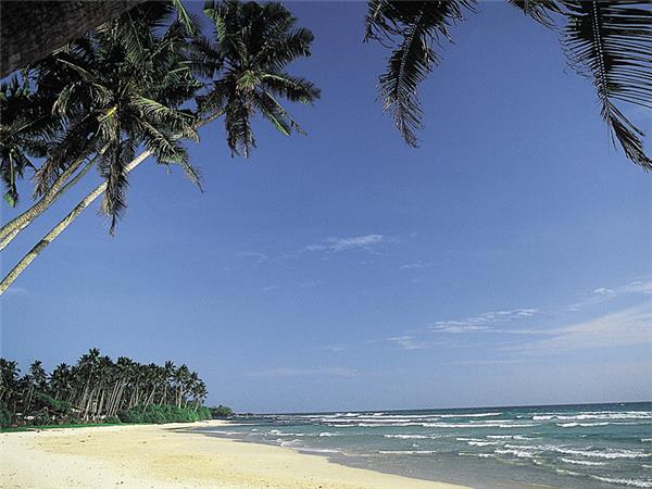 Sri Lanka wildlife and whales tour