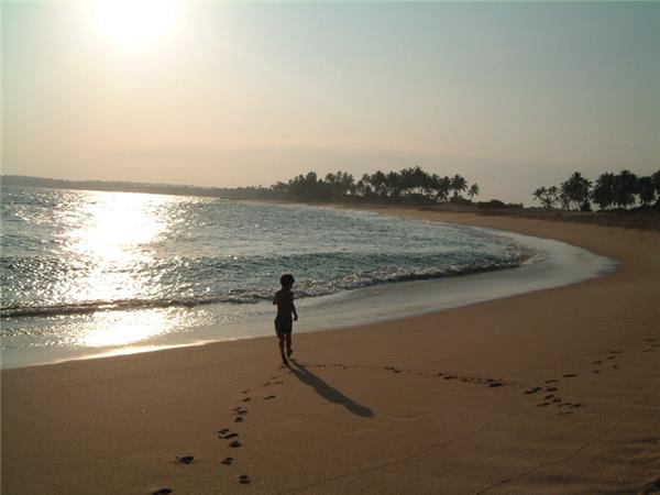 Sri Lanka wildlife and whales tour