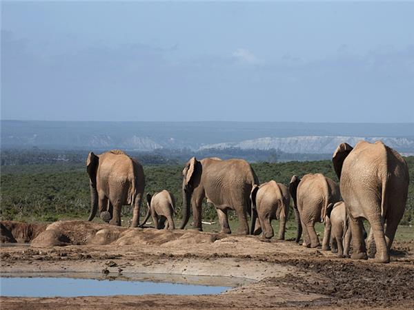 Cape Town and the Garden Route tour