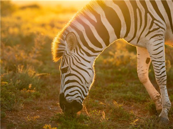 Cape Town and the Garden Route tour