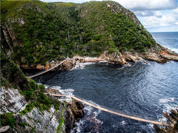 Cape Town and the Garden Route tour