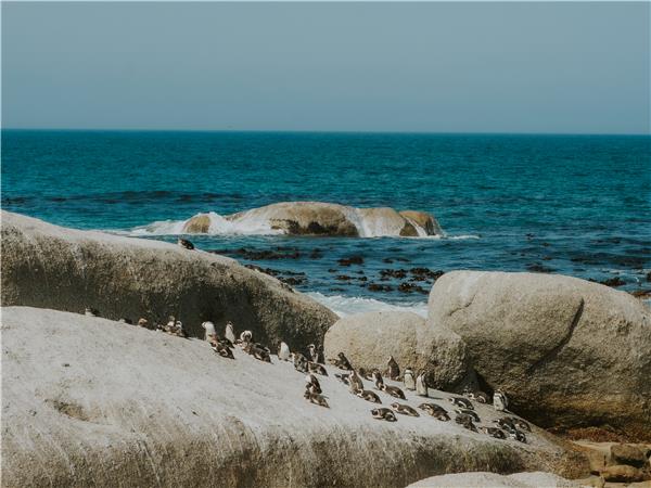 Cape Town and the Garden Route tour