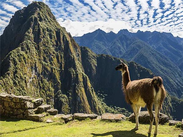 Peru vacation, encompassed