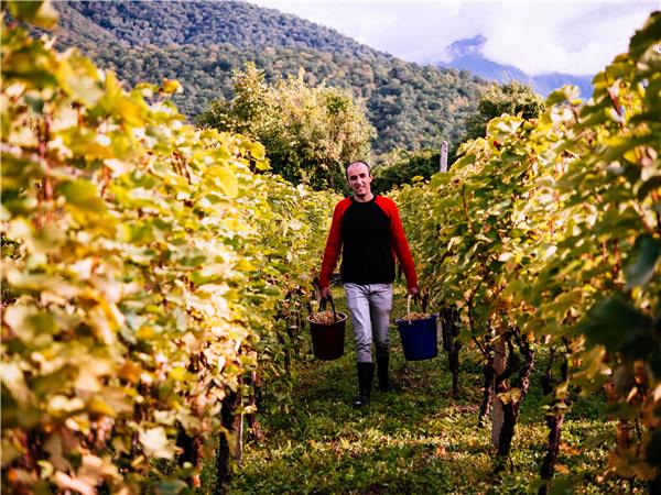 A week in Georgia, guided tour