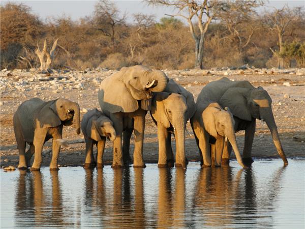 Vic Falls to Cape Town vacation in Southern Africa