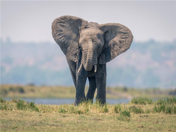 Vic Falls to Cape Town vacation in Southern Africa