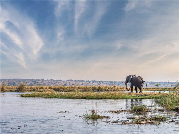 Vic Falls to Cape Town vacation in Southern Africa