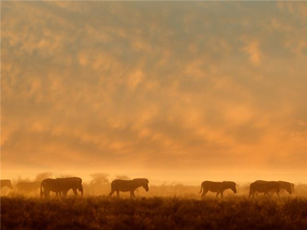 Vic Falls to Cape Town vacation in Southern Africa