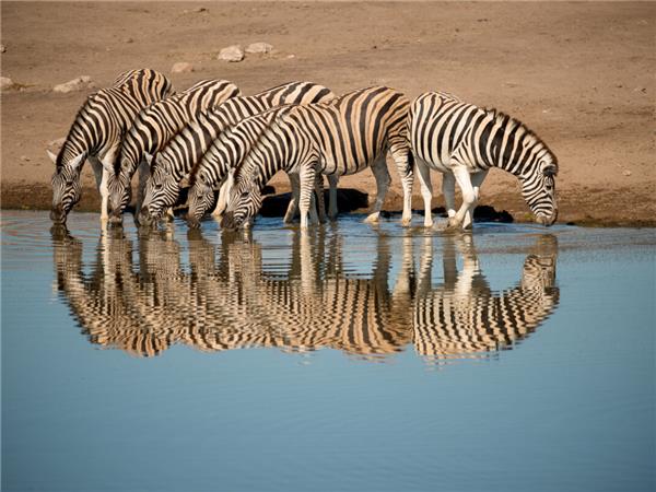 Vic Falls to Cape Town vacation in Southern Africa