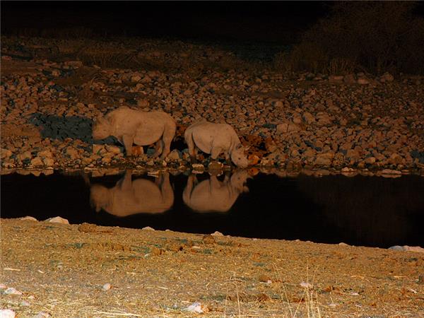 Cape Town to Vic Falls vacation in Southern Africa
