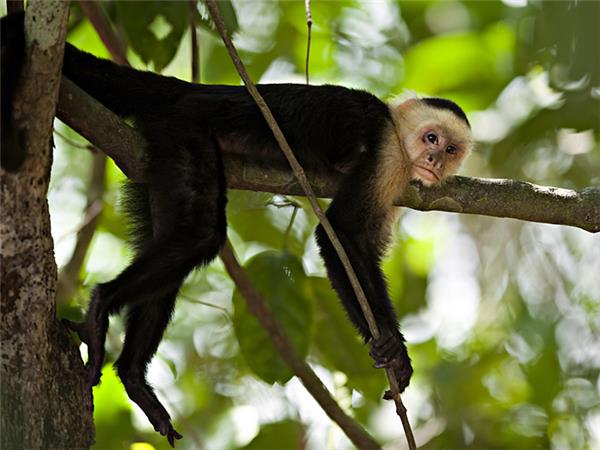 Central America cycling vacation