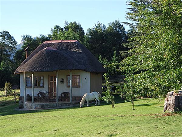 South Africa cycling vacation, Drakensberg and Kruger
