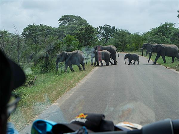 South Africa cycling vacation, Drakensberg and Kruger