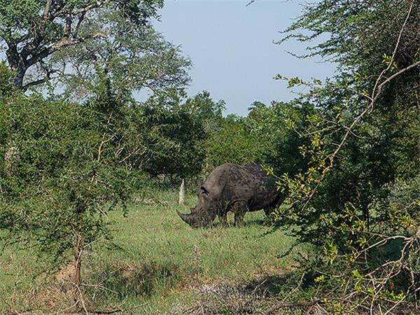 South Africa cycling vacation, Drakensberg and Kruger