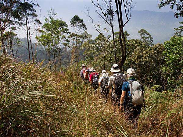 Kerala hiking vacation in India