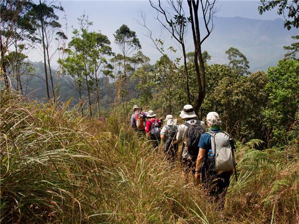 Kerala hiking vacation in India