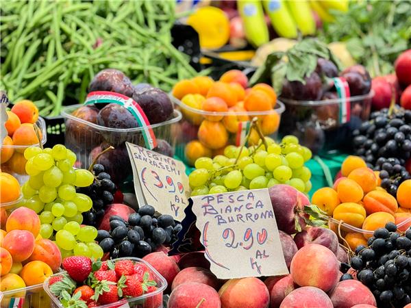 Tuscany guided tour