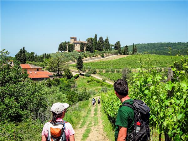 Tuscany guided tour